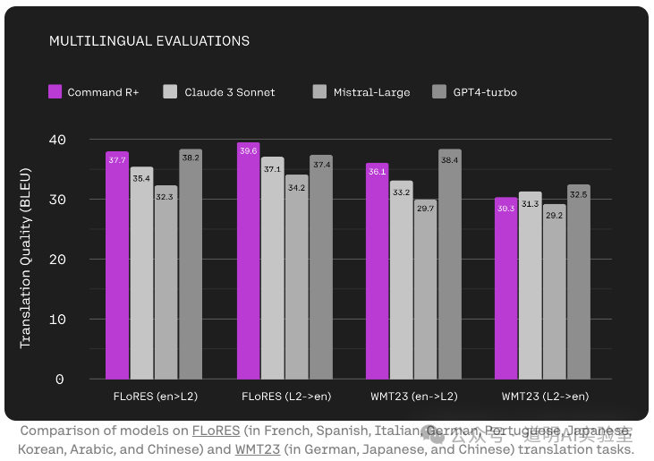 Multilingual Capabilities