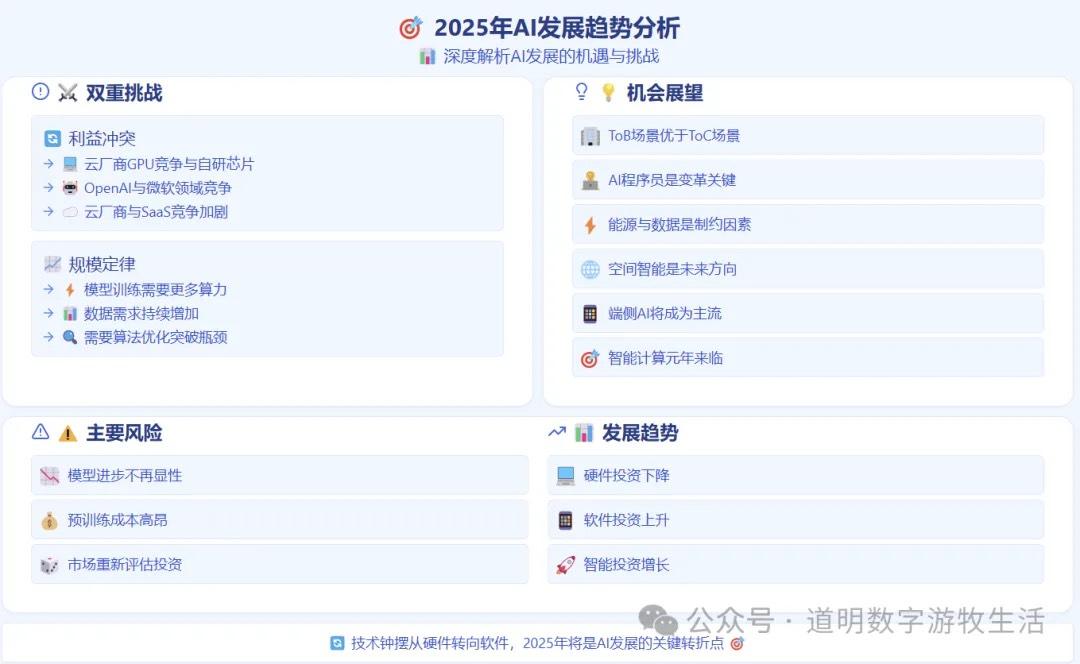 《2025年AI前瞻》精简与补漏：数据和能源；效率提升与组织变革；产品与“用户体验”