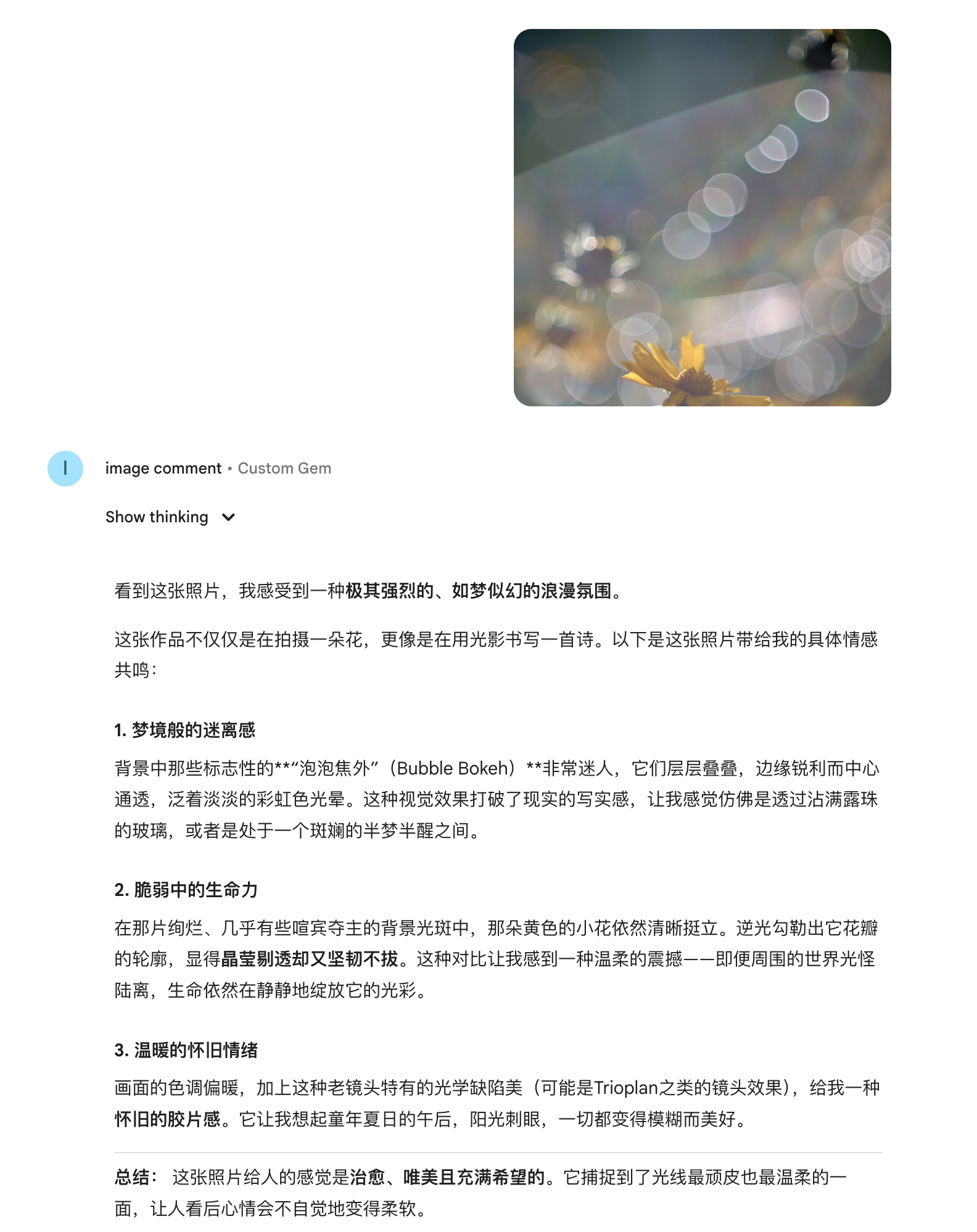 用照片与Gemini对话