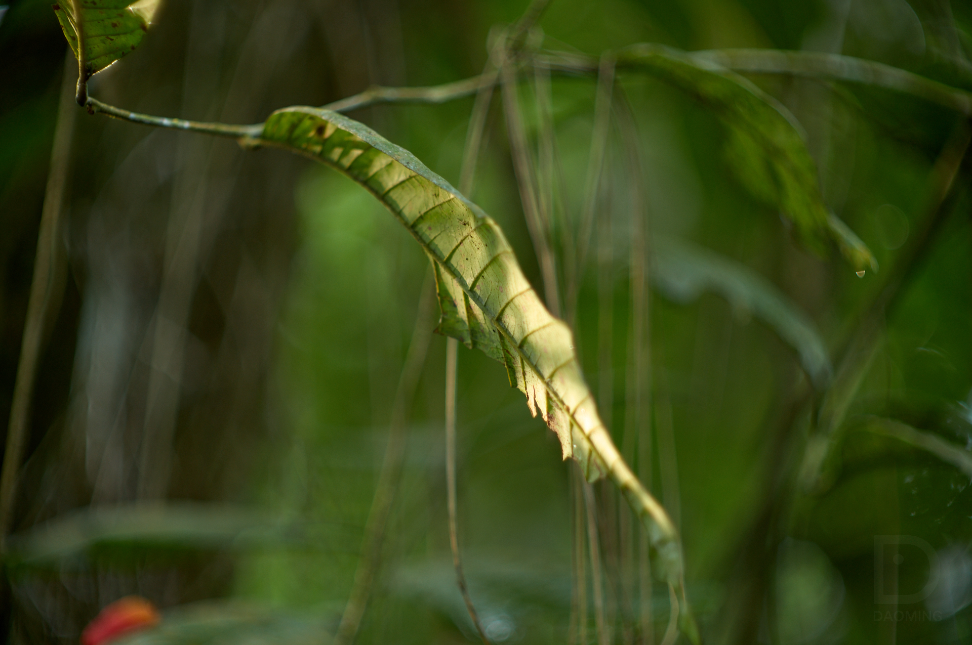 拍着花，拍着花，我理解了物理AI