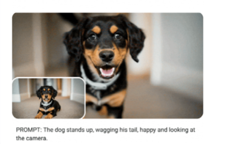 Veo/Imagen 示例：摇尾巴的狗